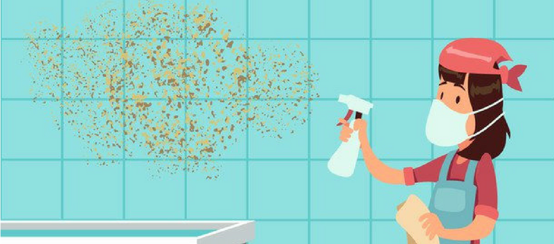 How many time should you have your business database cleanse?