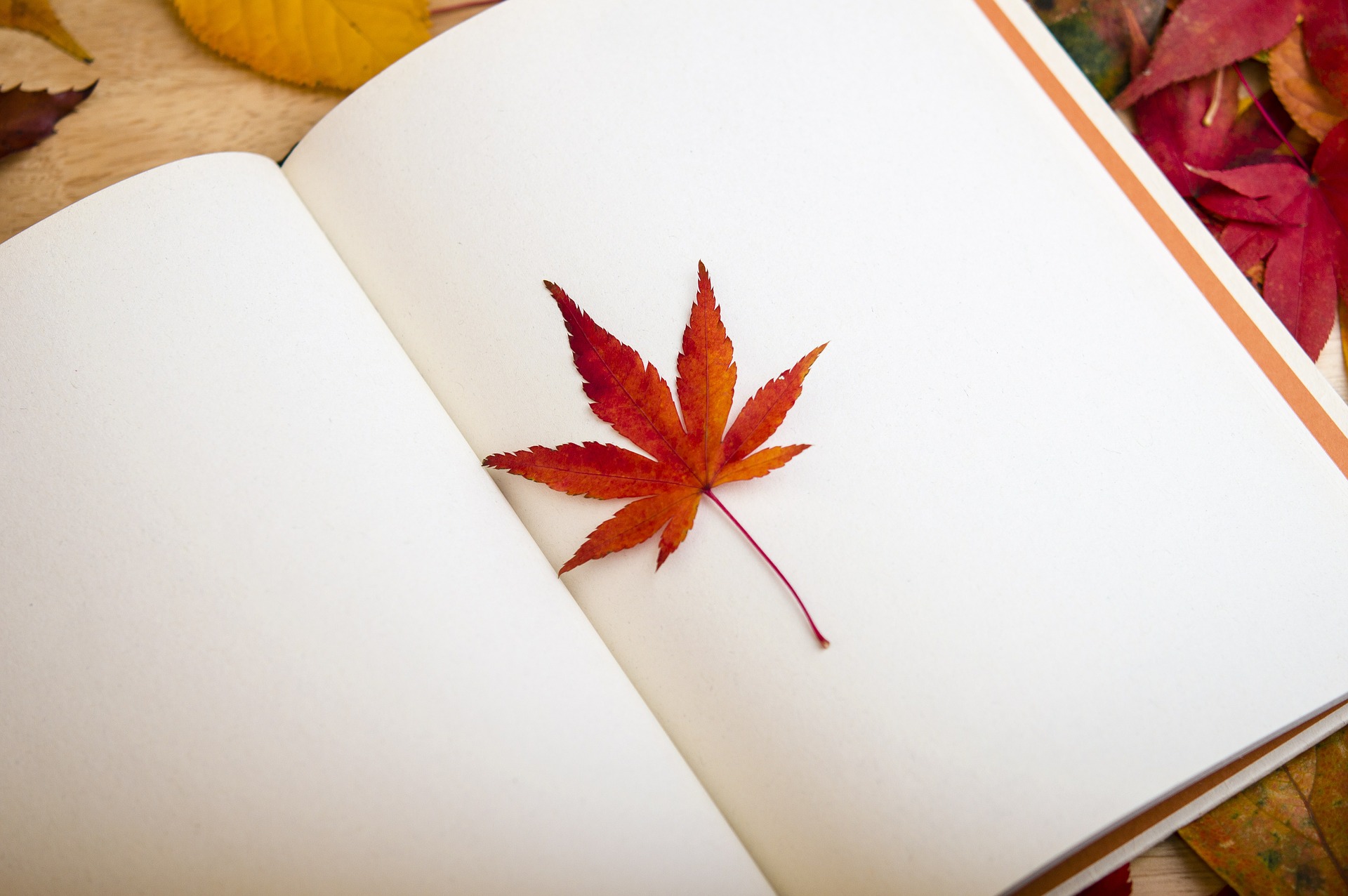 Looking for Inspiration? Stay In your Office Looking for Inspiration? Stay In your Office